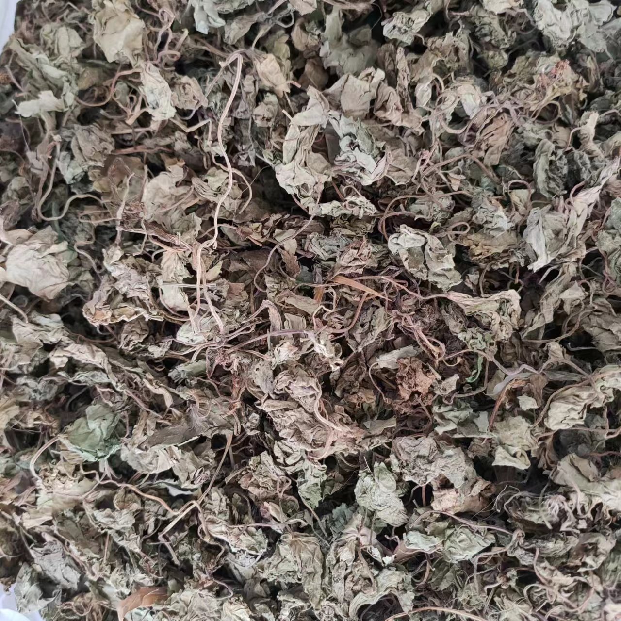 青天葵草 独叶莲 半边伞 坠千斤 天葵草 中药材 500g克包邮