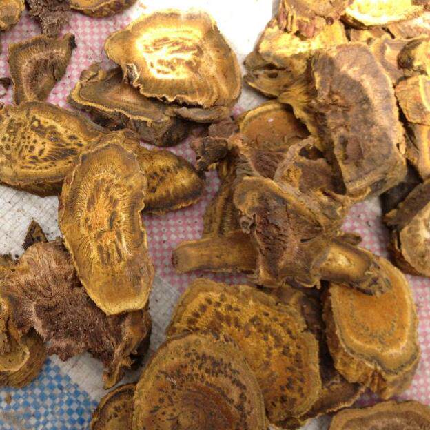 马蹄大黄 500g克包邮 生大黄 川大黄 大黄片 川军 中草药材供应