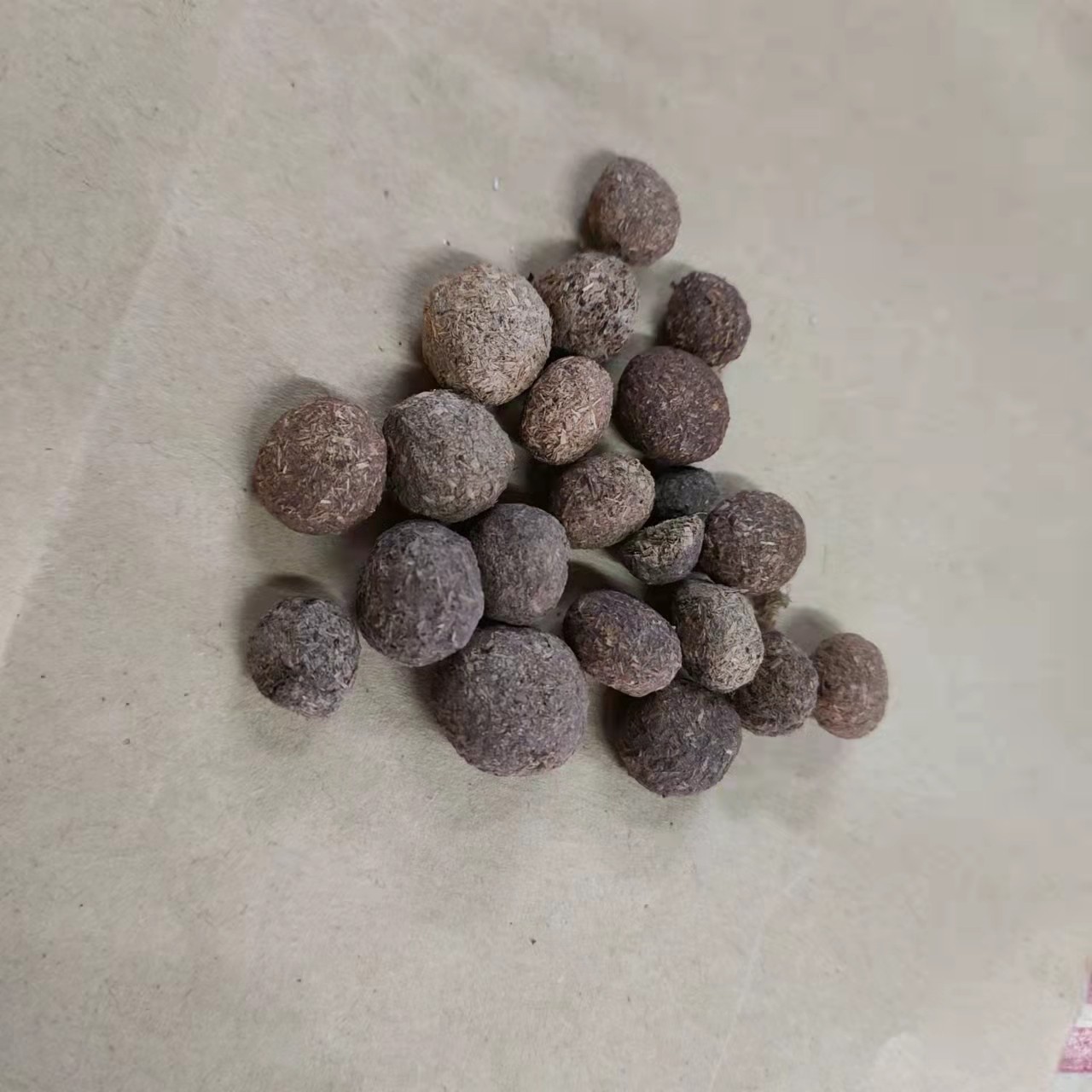 望月砂 夜明砂 望月沙 玩月砂 明月砂 中药材 500克20元