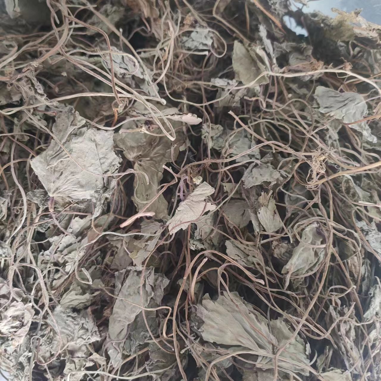 青天葵草 独叶莲 半边伞 坠千斤 天葵草 中药材 500g克包邮