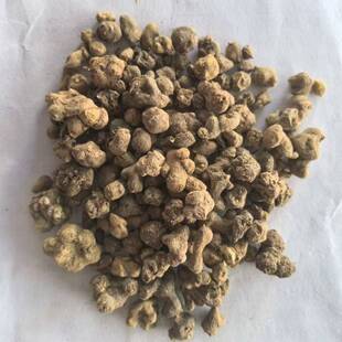 夏天无 一粒金丹 野延胡 飞来牡丹 落水珠 500g克 初级农产品