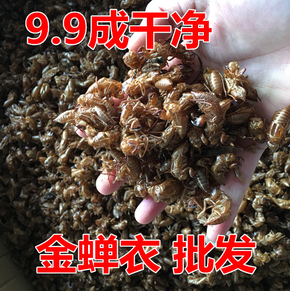 金蝉衣 蝉衣 蝉蜕知了皮 蝉退虫蜕 水洗干净 中草药材 500g克包邮