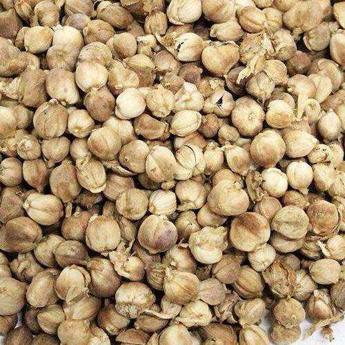 1斤包邮中草药材500g克白豆蔻