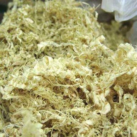 竹茹淡竹茹竹皮500g克