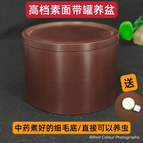 素面红色直筒100#蟋蟀盆蛐蛐罐泥盆泥罐澄泥精制细毛底已煮过包邮