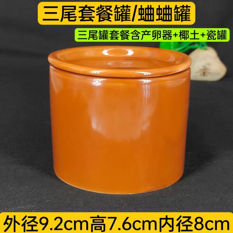 三尾罐母子罐蛐蛐罐瓷罐蟋蟀罐套餐产卵器椰土三尾用具黑虫产卵