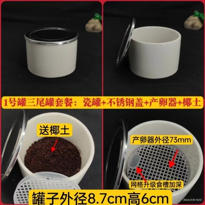 新款三尾罐套餐母蟋蟀母蛐蛐母油葫芦之用配产卵器送椰土蟋蟀用具