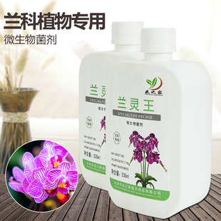 兰灵王兰花专用营养液促进开花兰科植物微生物菌肥水溶性有机肥料