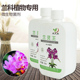 兰灵王兰花专用营养液促进开花兰科植物微生物菌肥水溶性有机肥料