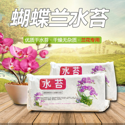 水苔包邮蝴蝶兰栽培基质