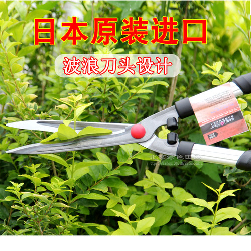 不锈钢绿篱剪修枝剪果枝剪大剪刀