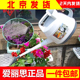 日本IRIS爱丽思两用塑料长嘴洒水壶浇花壶浇花水壶园艺浇水壶喷壶
