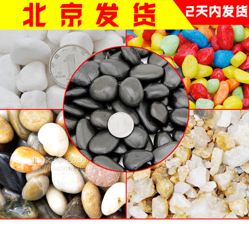 天然小石头雨花石鹅卵石白石头彩石多肉盆栽铺面碎小石子鱼缸装饰