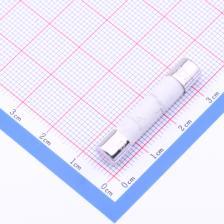 0314010.MXP 一次性保险丝 10A 250V 快断