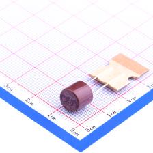 5TR.40002ZGTB(+) 一次性保险丝 圆型5TR T4A 250V 慢断） 009.14