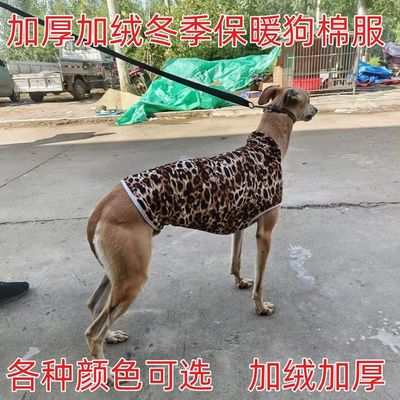 秋冬防寒狗棉服加绒狗衣服狗