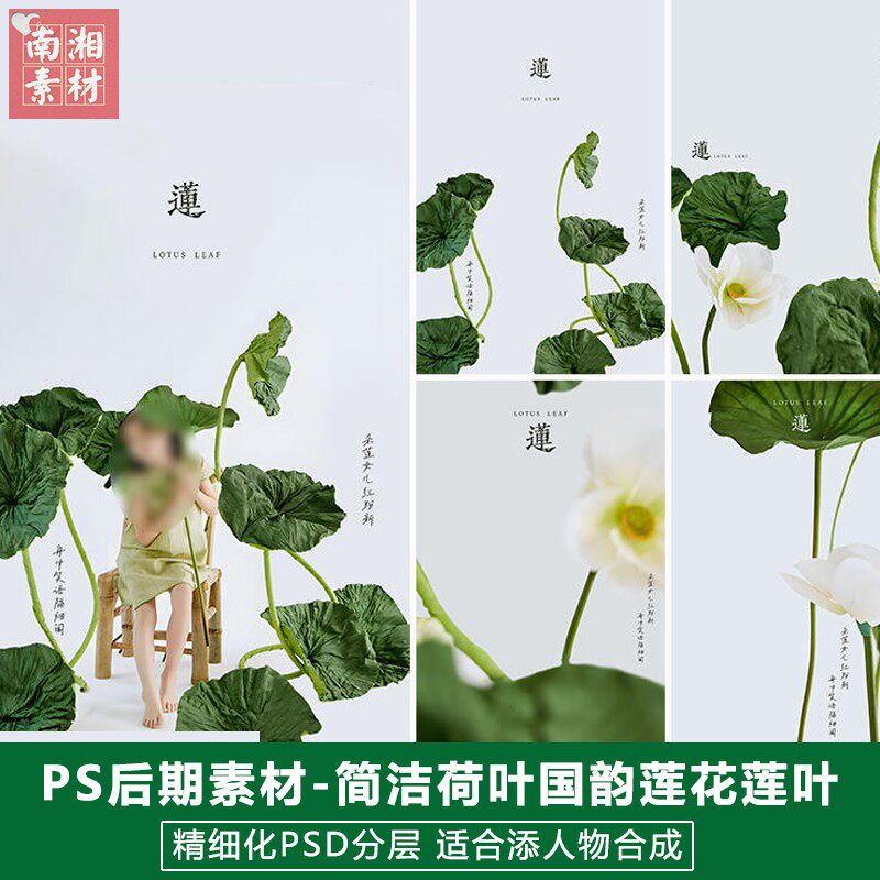 新版儿童影楼后期模板百天满月宝宝照片简洁国韵莲花莲叶荷叶素材