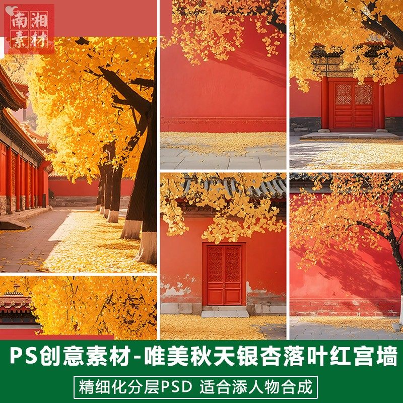 新版儿童影楼后期溶图模板百天宝宝唯美照片设计银杏秋天季节素材