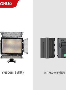 永诺YN300III三代LED摄影灯婚庆跟拍补光录像外拍便携式柔光灯无
