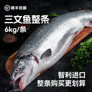 整条赛马克进口三文鱼智利大西洋鲑鱼冷冻海鲜食材零售批发日料