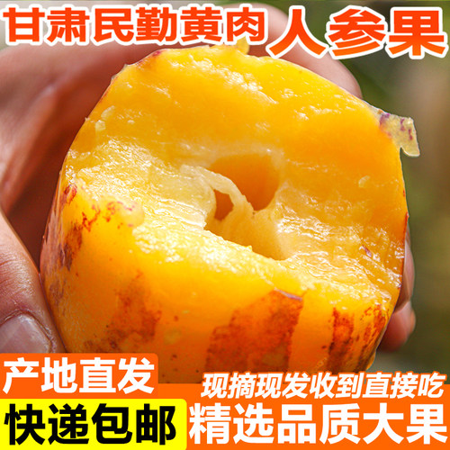 甘肃民勤人参果『顺丰』包邮新鲜时令大果孕妇水果沙漠黄肉人生果