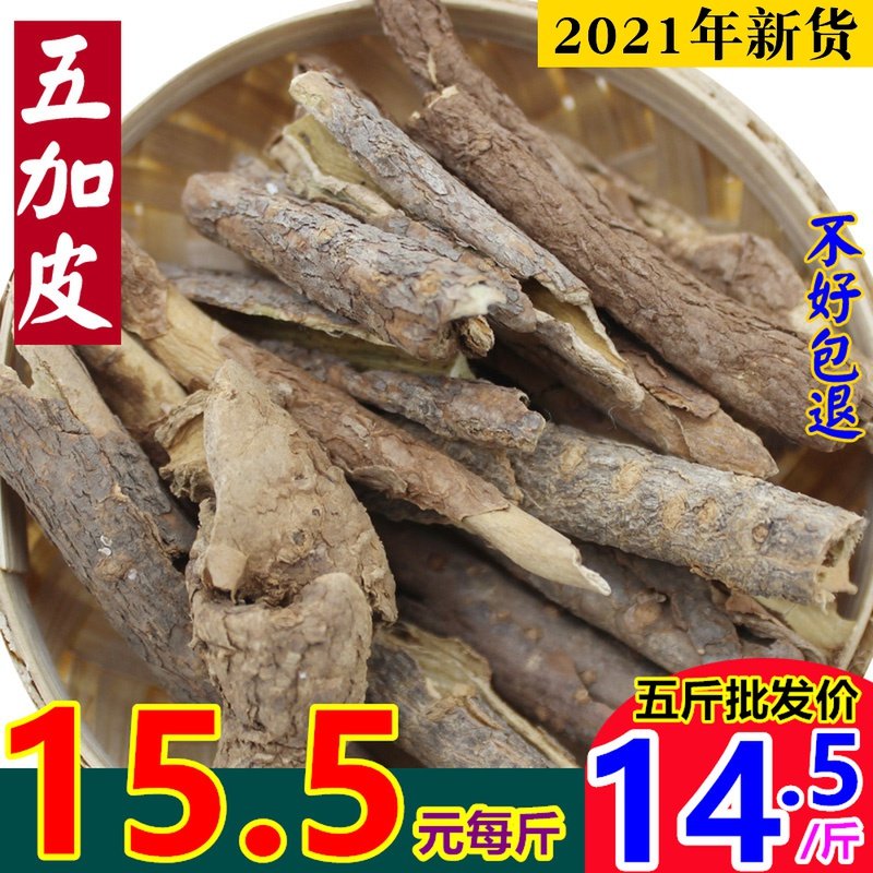 北五加皮的图片,植物图片,全株_大山谷图库