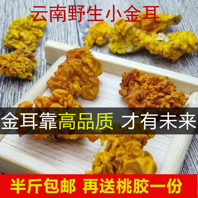 250g包邮野生金耳 木耳脑耳黄金耳云南高原特产干货可搭配皂角米