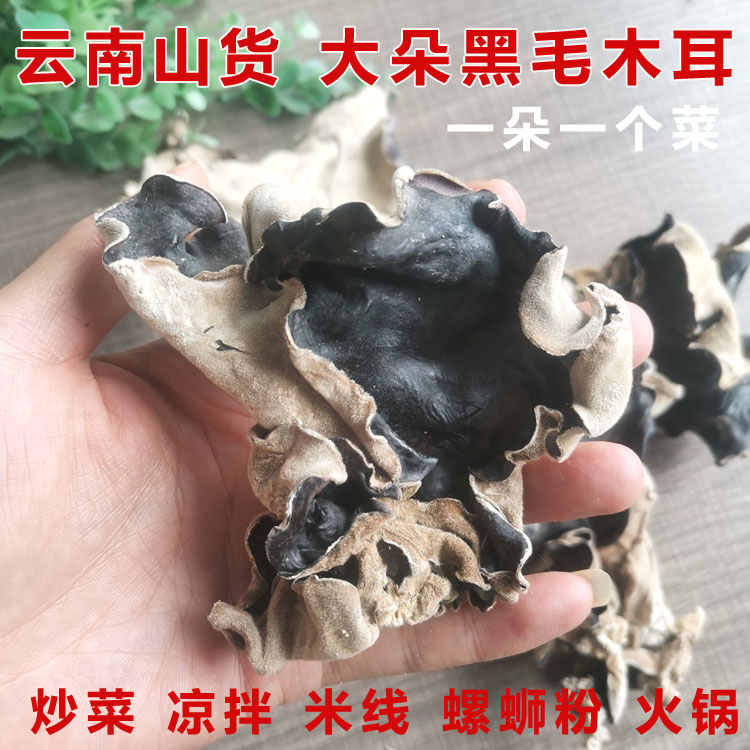 云南毛木耳大朵黑木耳干货