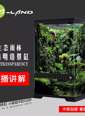 艾兰德雨林缸 水陆缸 热带雨林生态造景缸超白蜥蜴爬虫玻璃爬虫箱