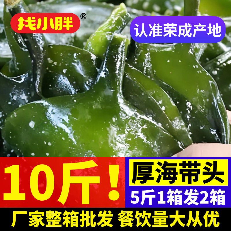 精品10斤新鲜海带头盐渍海带根头