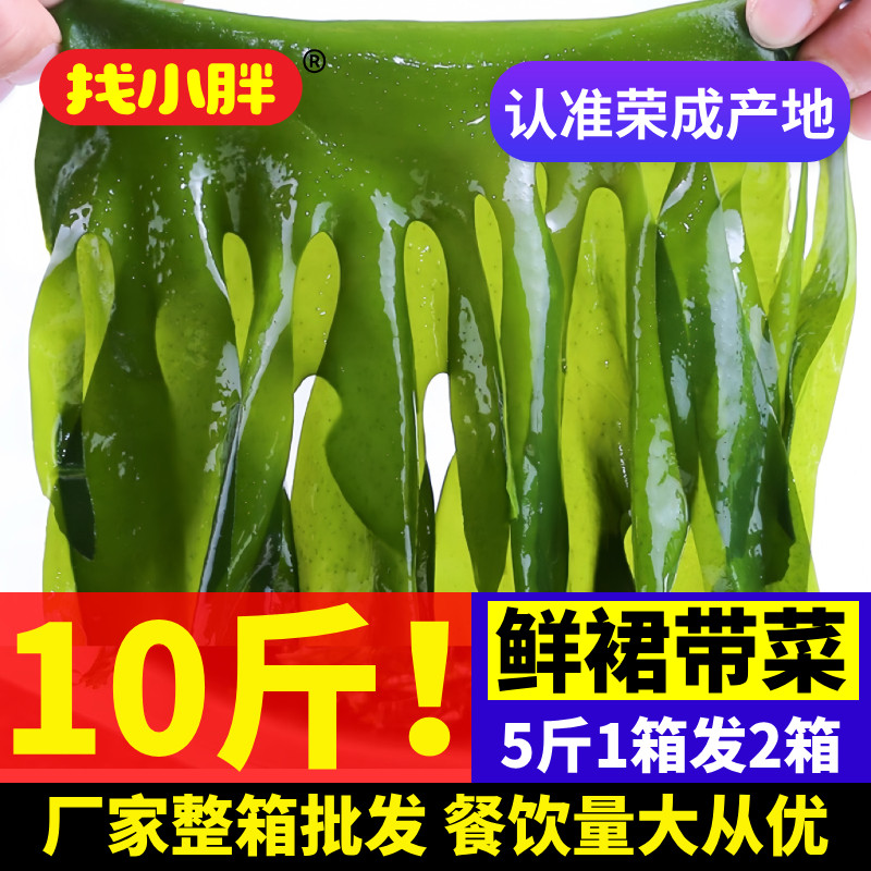 新鲜裙带菜叶盐渍薄嫩海藻菜半干货10斤非特级海带凉拌菜火锅商用