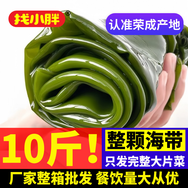 10斤新鲜整颗大海带海带包饭食材