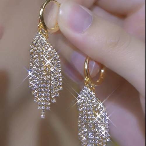 轻奢满钻长款流苏耳环气质高级感聚会礼服造型耳钉夸张独特耳饰女