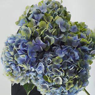 饰可干花顺丰直发 高级小众水培绣球家居装 好红专属 青花瓷绣球