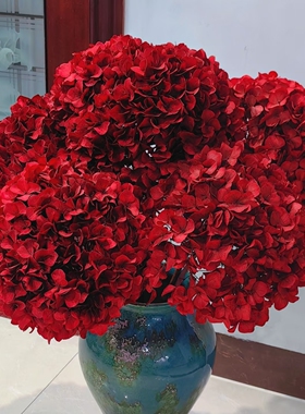 【5A级绣球 永生绣球红色 橙色】绣球鲜切花花束/可做干花