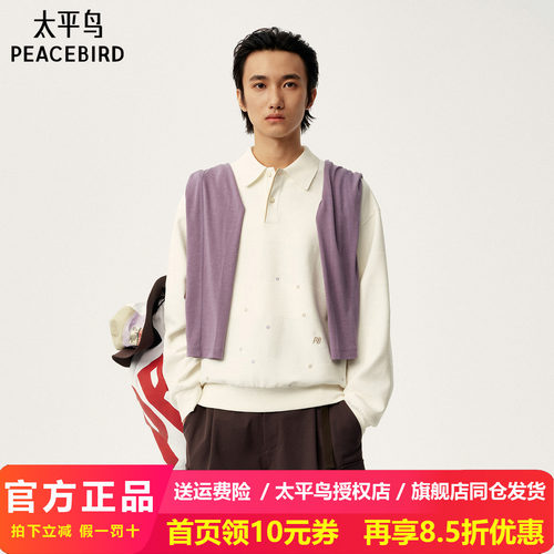 太平鸟男装 Personal Best By PEACEBIRD专柜翻领卫衣 B2CRG1362