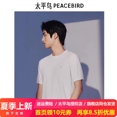 太平鸟男装针织短袖T恤夏季新款刺绣体恤B1EEE21