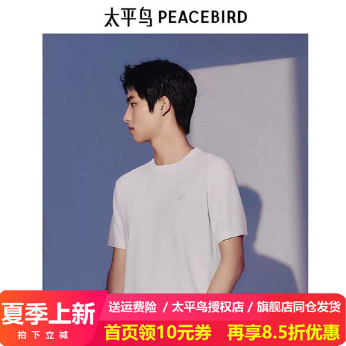太平鸟男装针织短袖T恤夏季新款刺绣体恤B1EEE21