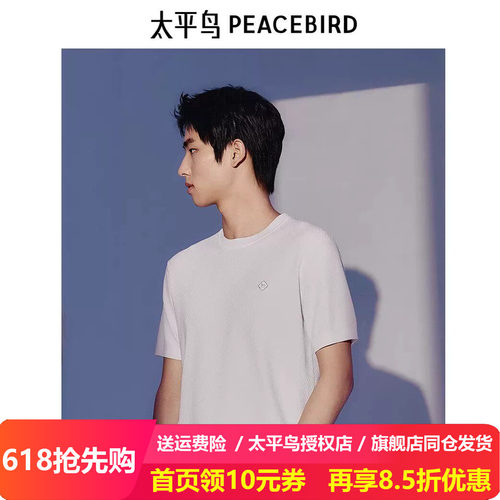 太平鸟男装针织短袖T恤夏季新款刺绣体恤B1EEE21