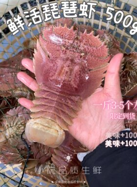 野生琵琶虾 新鲜九齿扇虾 虾姑排毛缘扇虾东方大虾扁虾排鲜活水产