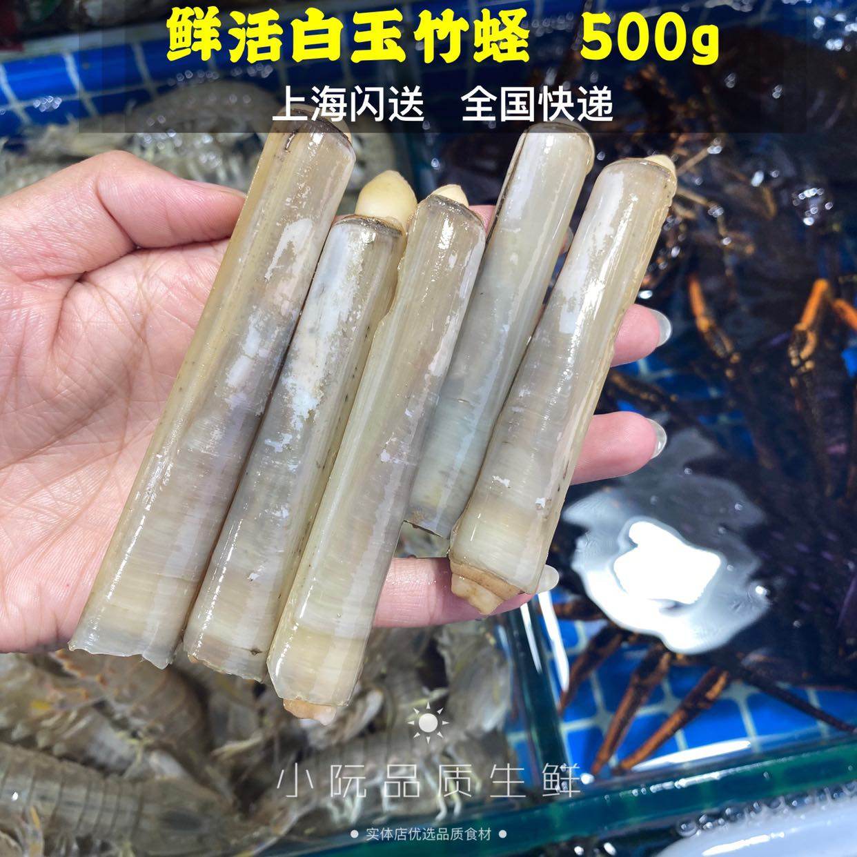 新鲜竹蛏价格 新鲜竹蛏图片 星期三