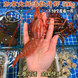 上海鲜活牡丹虾船冻牡丹虾刺身食材生吃日料鳌虾甜虾500g