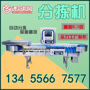 全自动鱼类分级称偏口鱼沙丁鱼鲍鱼重量分选机八爪鱼黄花鱼分拣机