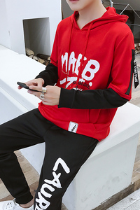春秋季男士卫衣套装青少年帅气两件套休闲运动服装潮TZ60-P60图片
