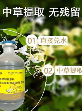 金感康信鸽赛鸽鹌鹑窜稀水绿便新城疫无精神缩头炸毛专用食欲不振