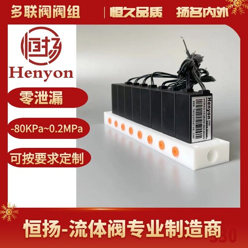 直列8联阀组HYZF4-2-1/4-28UNF-8GZ多歧路排阀 分析仪器电磁阀