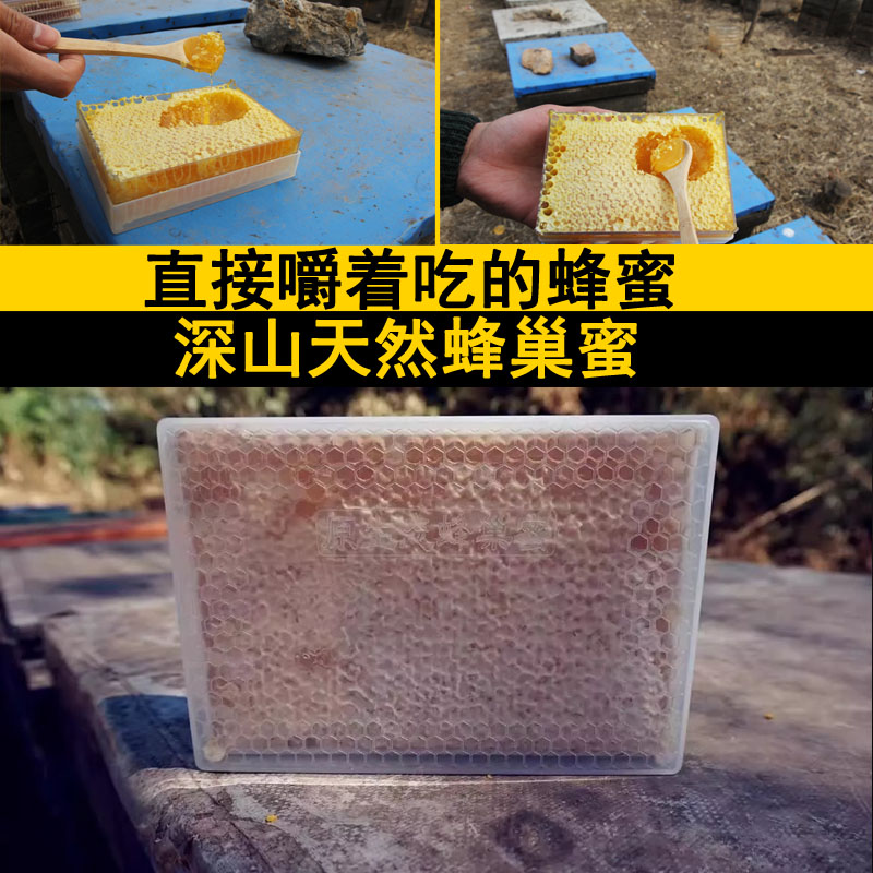 蜜蜂蜂巢蜜嚼着吃盒装500g野生蜂蜜带蜂巢纯正天然蜂蜜巢蜂窝原生