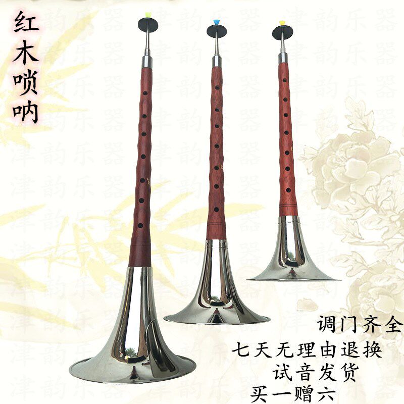 红木唢呐乐器成人儿童初学者入门学生练习唢呐降BFCD调小海笛喇叭