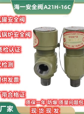 安全阀泄压阀氧气天然气氨气不锈钢弹簧微启式防爆阀A21F/W/H-16P