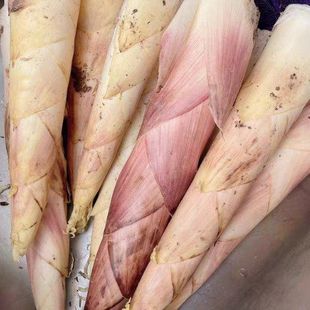 拇指新鲜现挖野生临安小雷笋冬笋油焖笋小竹笋鞭笋春笋黄泥笋